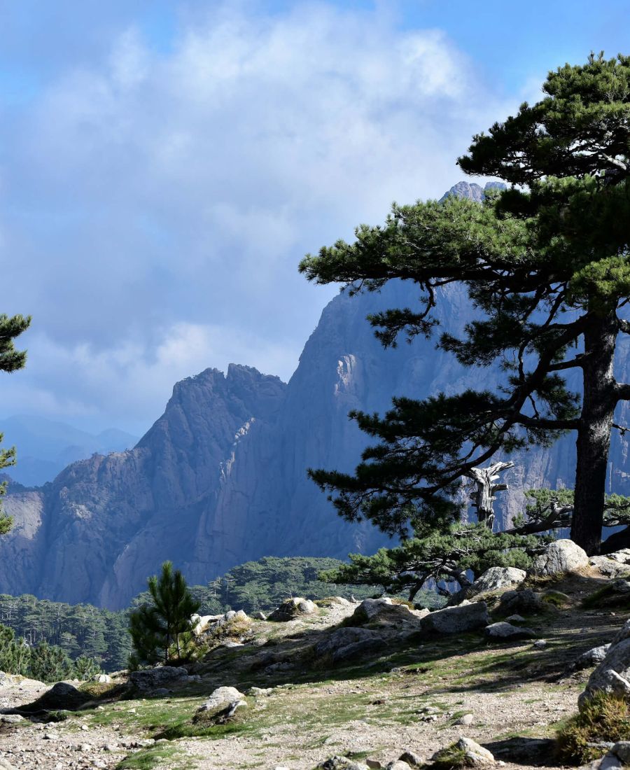 Les aiguilles de Bavella